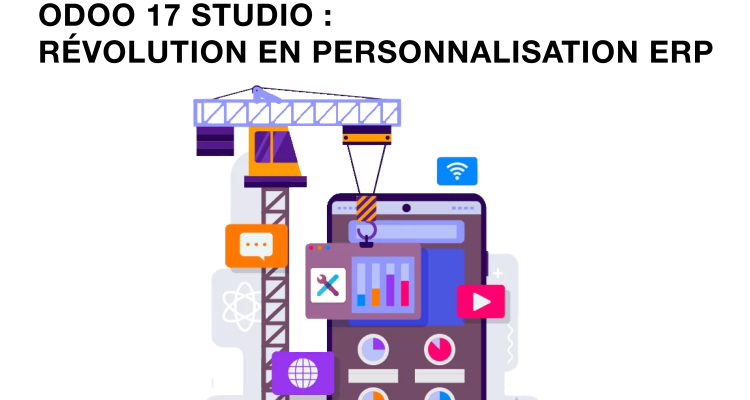 ERP ODOO17 Studio