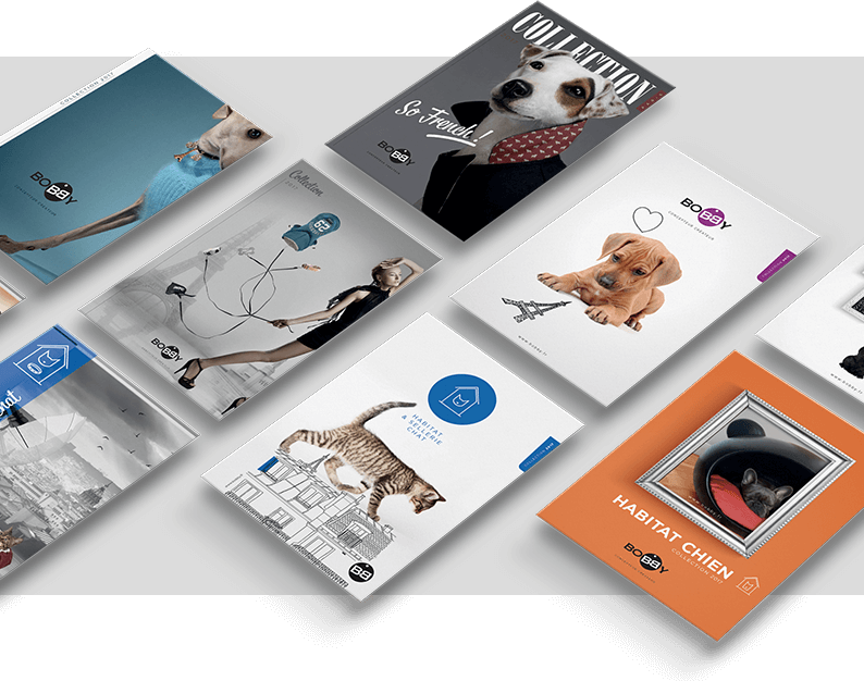 agence marketing web